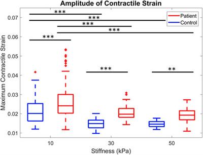 Identifying Features of Cardiac Disease Phenotypes Based on Mechanical Function in a Catecholaminergic Polymorphic Ventricular Tachycardia Model